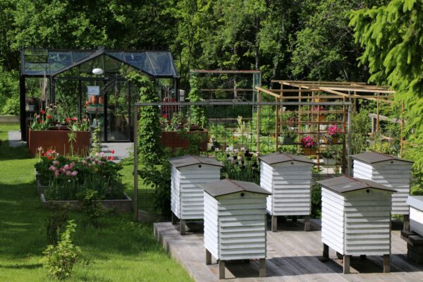 Lysebu_kjøkkenhage (21)