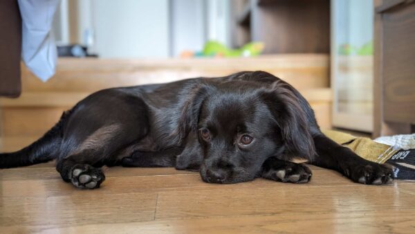 PXL_20230803_103059815.PORTRAIT